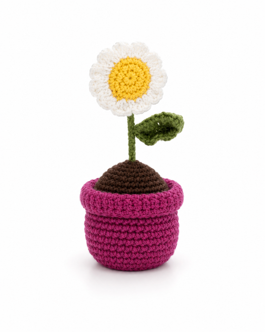 Handmade Crochet Daisy Flower Pot