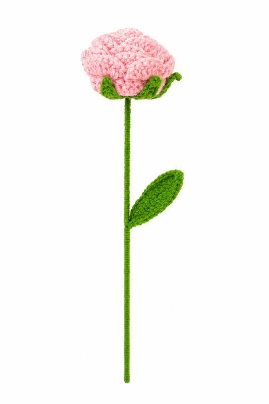 Handmade Crochet Carnation Flower